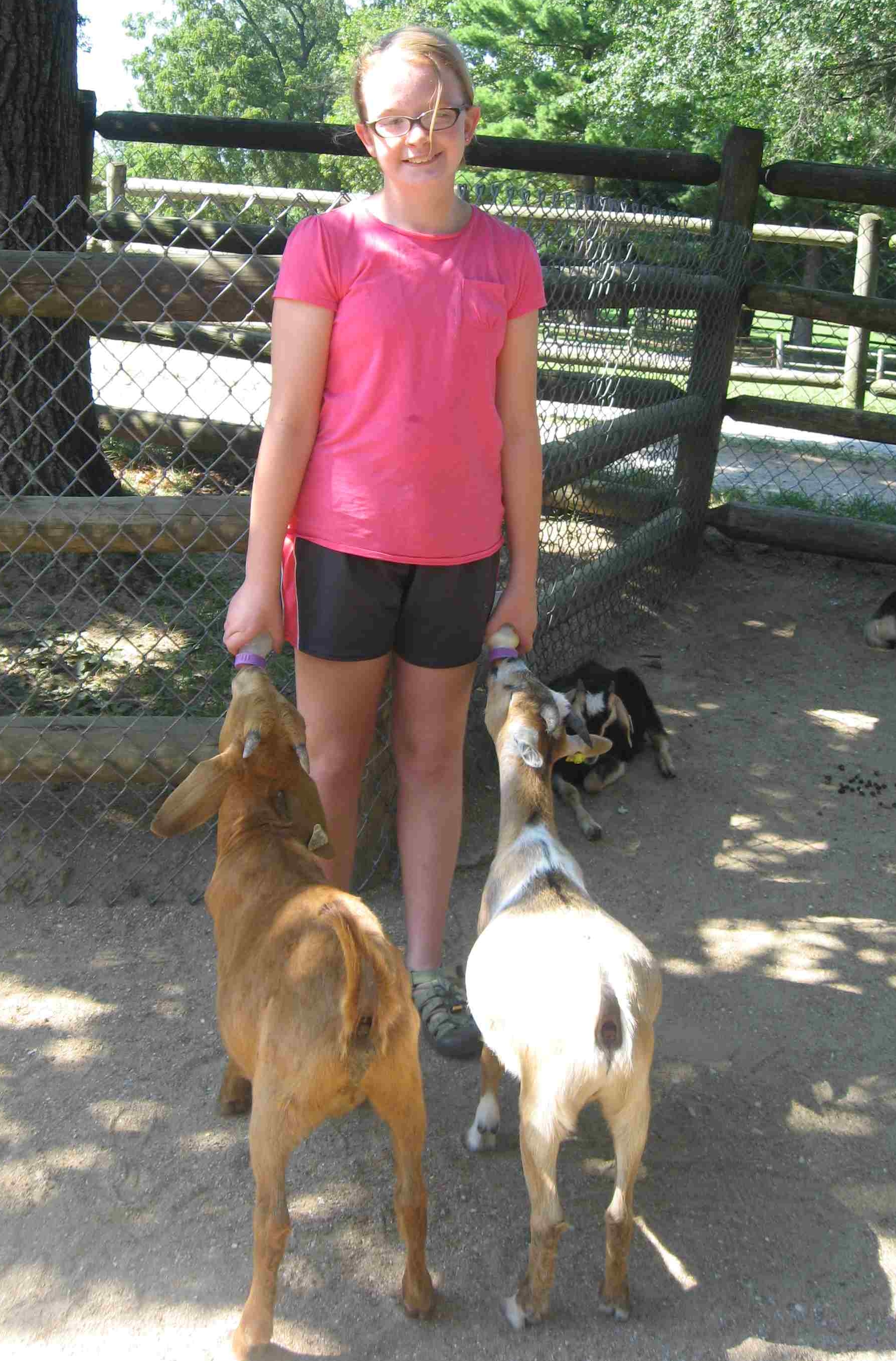 2013-08-10 Grant's Farm Jane with goats.jpg